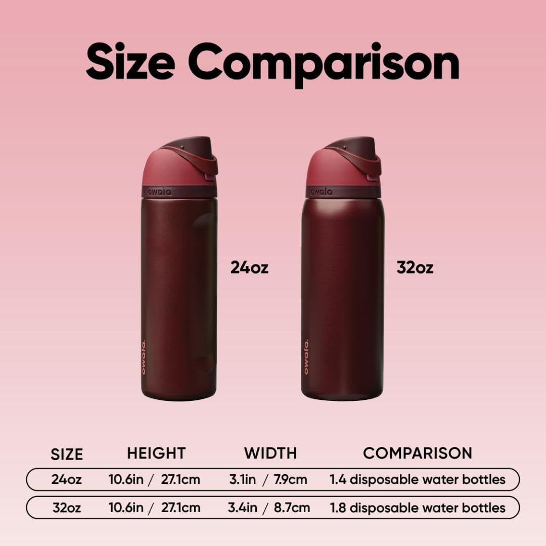 Freesip Insulated Stainless Steel Water Bottle with Straw, Bpa-Free Sports Water Bottle, Great for Travel, 24 Oz, Black Cherry