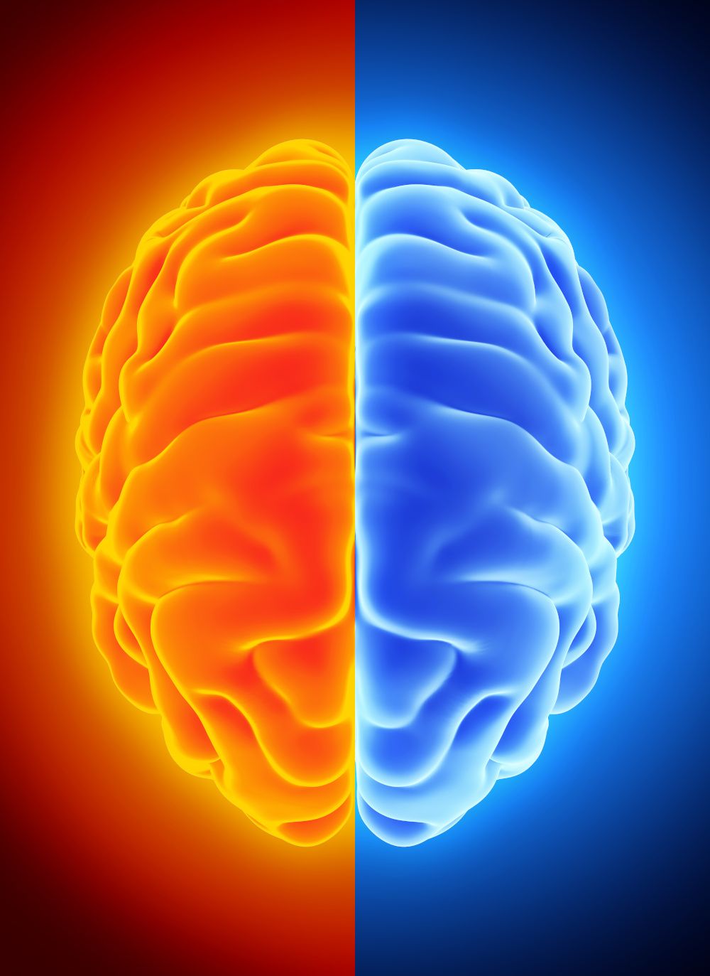 Brain Support