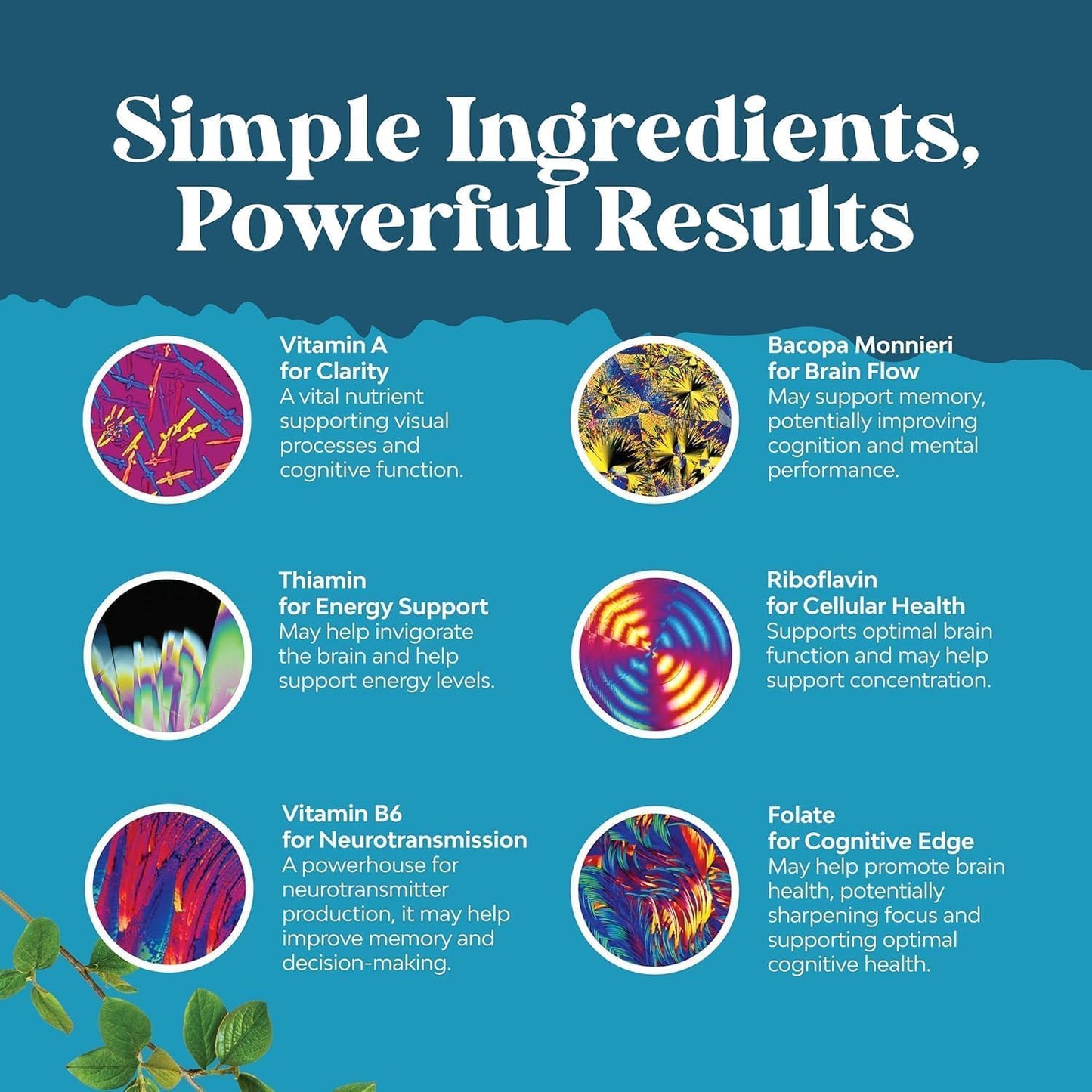Nootropic Brain Supplement for Memory and Focus Support