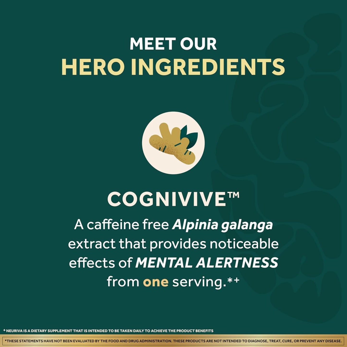 NEURIVA Ultra Decaffeinated Clinically Tested Nootropic Brain Supplement for Mental Alertness