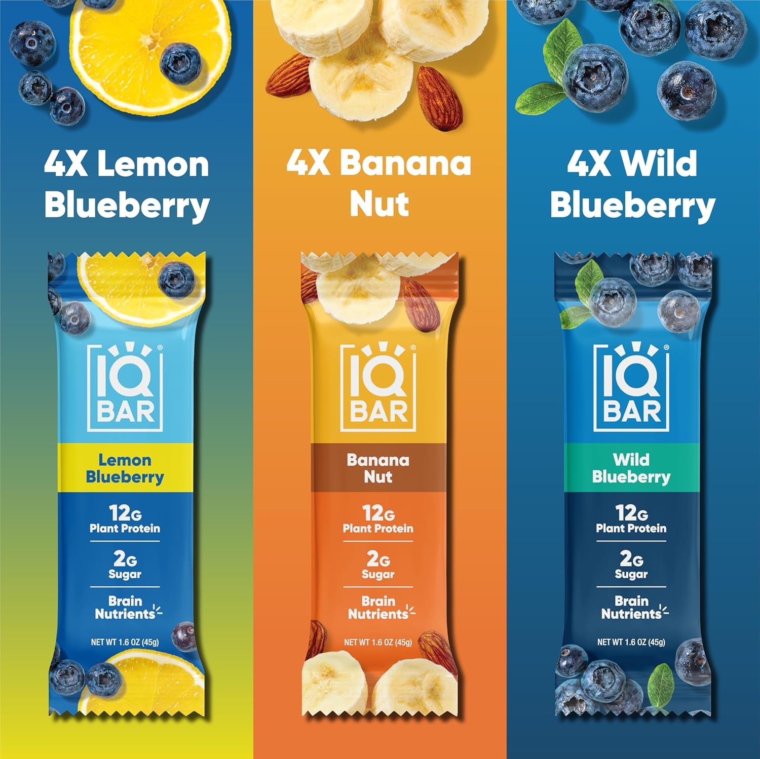 IQBAR Clean Plant Protein Bars - Fruit Lovers Variety Pack - 12 Count