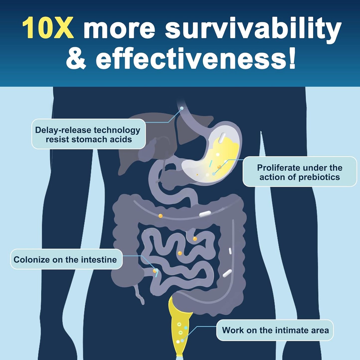 Probiotics for Men Digestive Health, 120 Billion CFUs