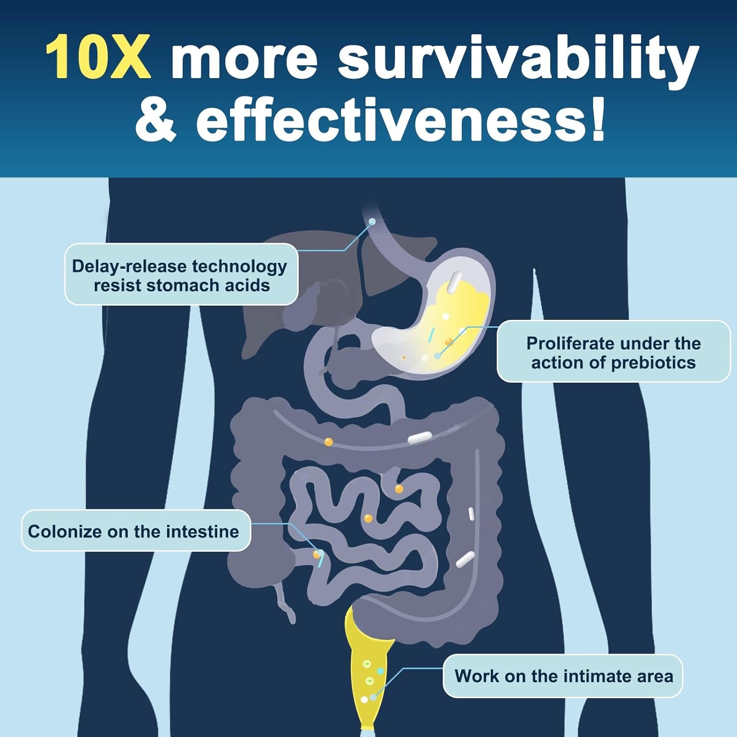 Probiotics for Men Digestive Health, 120 Billion CFUs