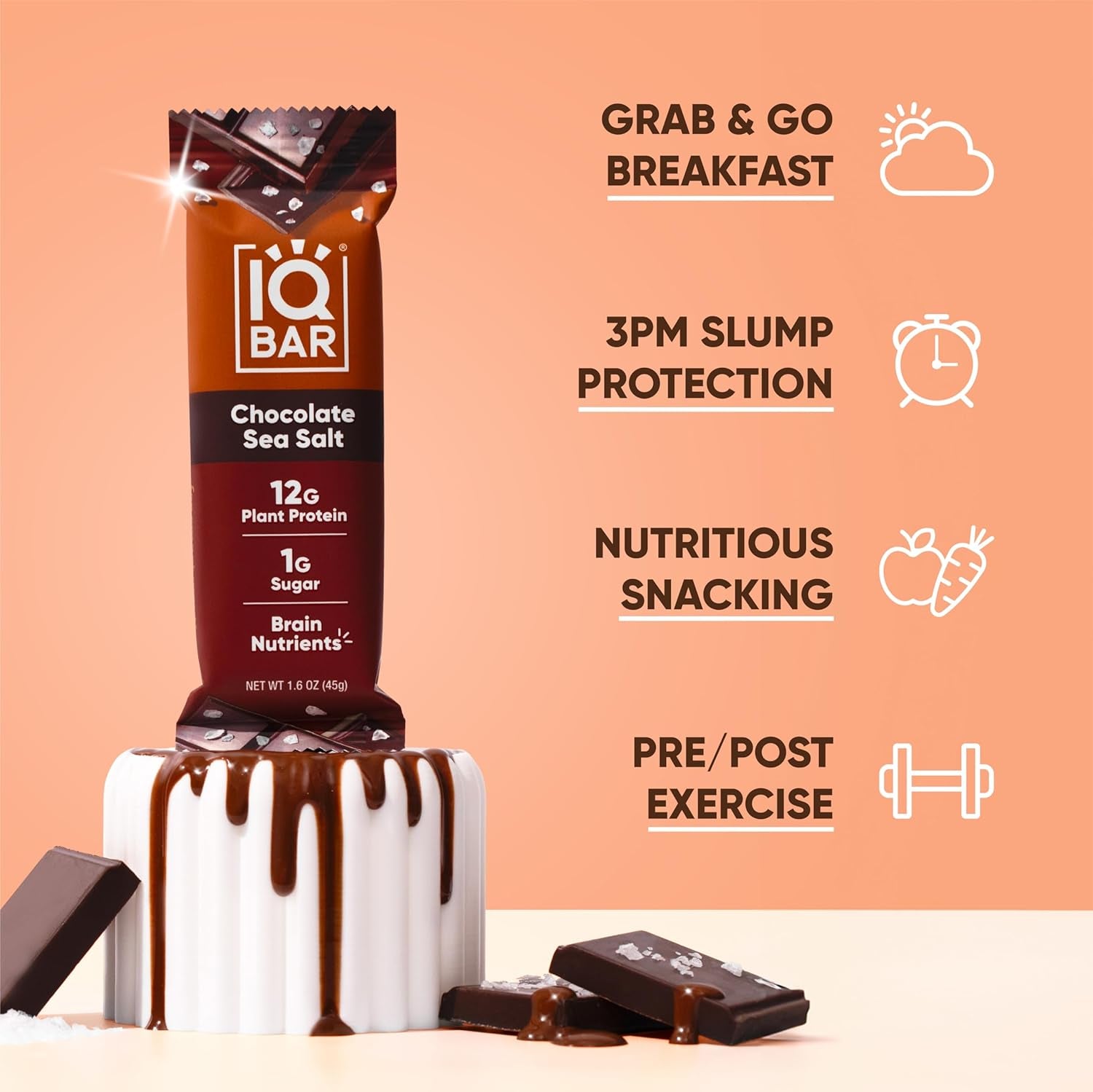 IQBAR Clean Plant Protein Bars - Chocolate Sea Salt - 12 Count