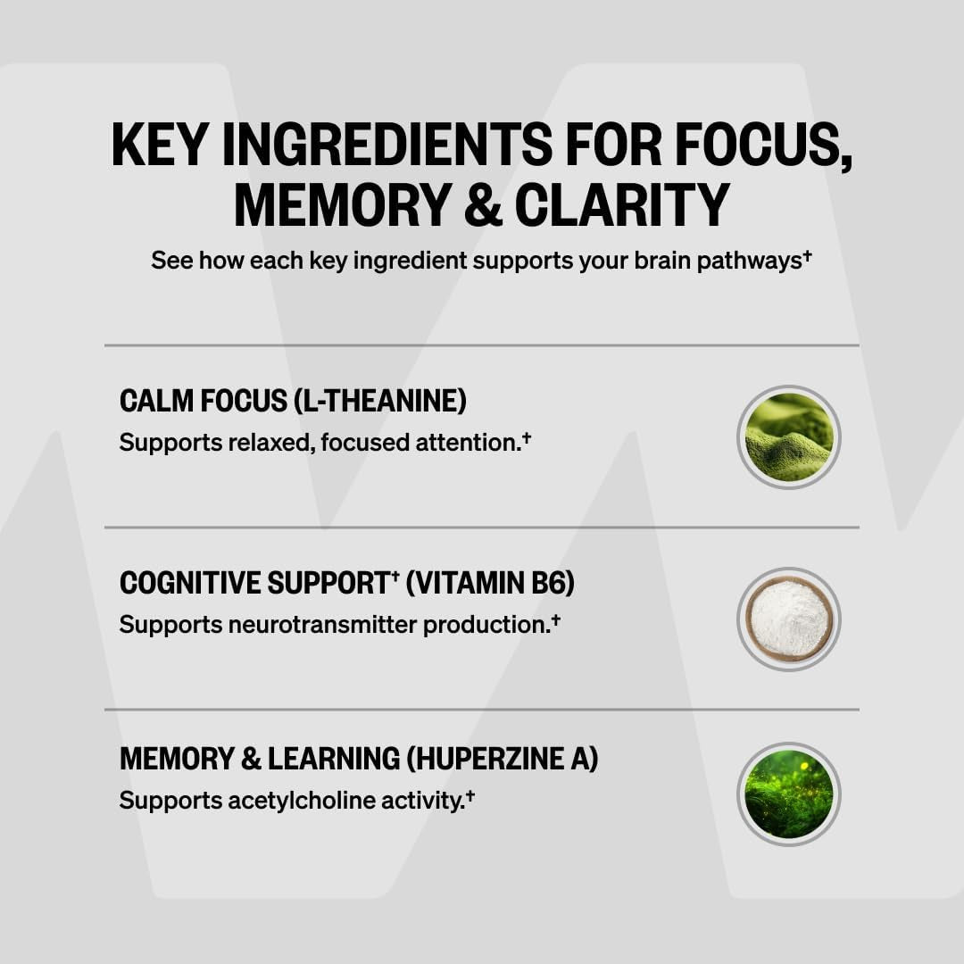 ONNIT Alpha Brain Nootropic Brain Supplement for Focus
