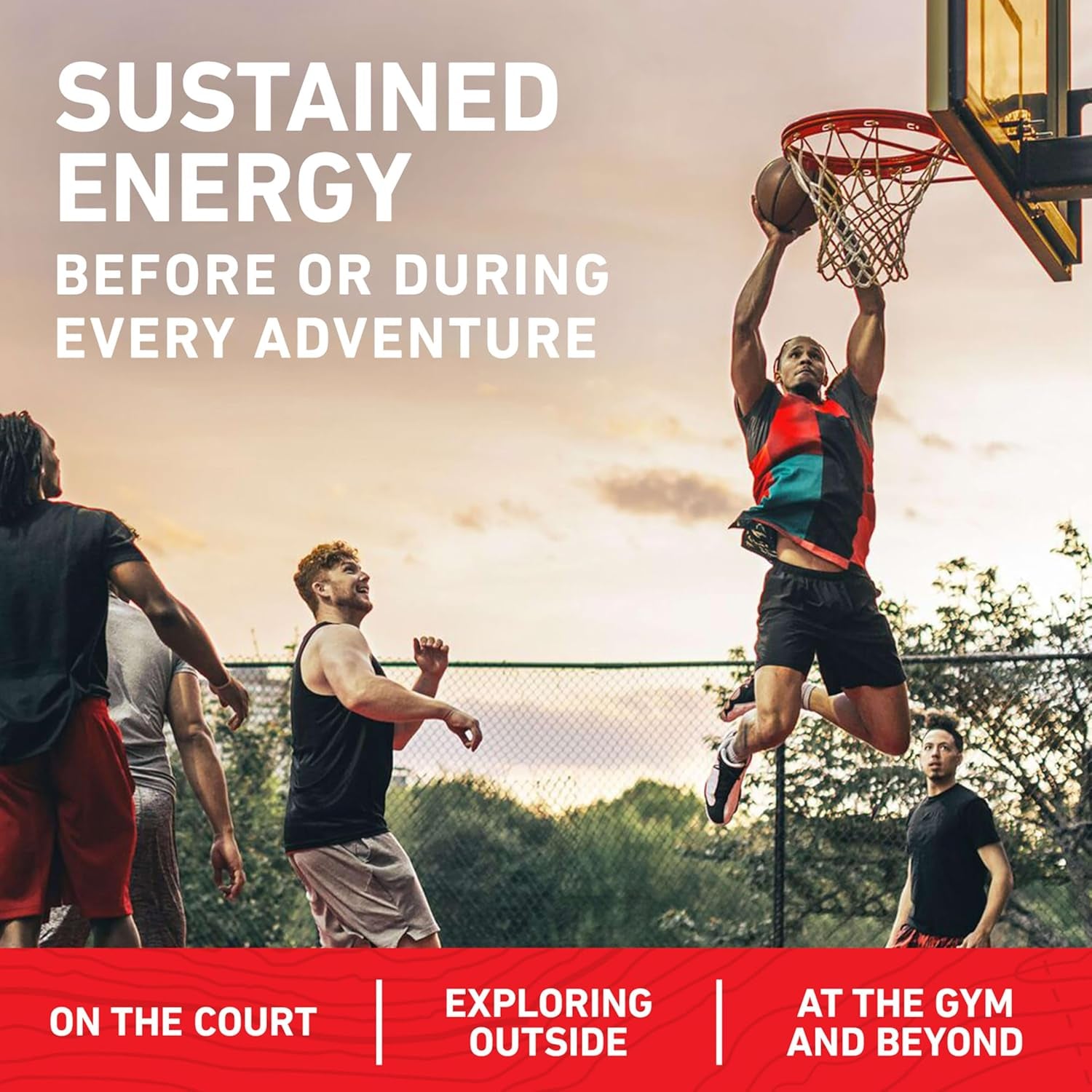 CLIF BAR - Energy Protein Bars - (15 Pack)