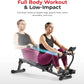 Sunny Health & Fitness Compact Adjustable Rowing Machine