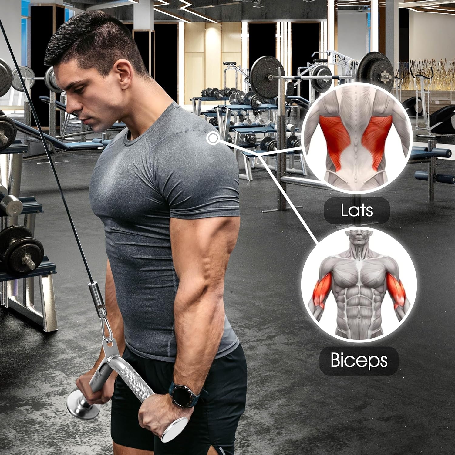 Cable Machine Attachment, Row Handles, Tricep Rope, Straight Bar, V Bar Accessories