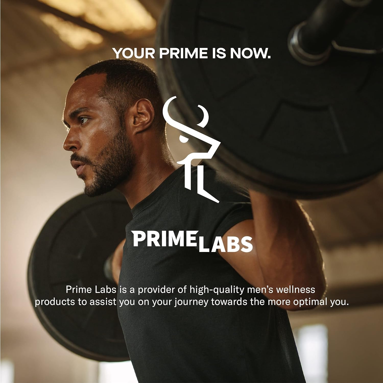 Prime Labs - Men's Testosterone Booster