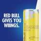 Red Bull Summer Edition Sudachi Lime Energy Drink, 12 Fl oz, Pack of 24 Cans