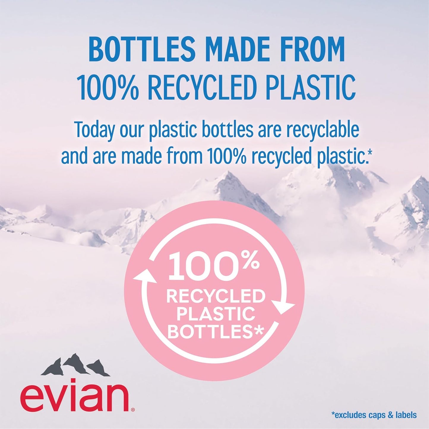 Evian Natural Spring Water, 1 L Bottle, 12 Pack