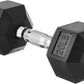 20 Pound Rubber Hex Dumbbell Hand Weight
