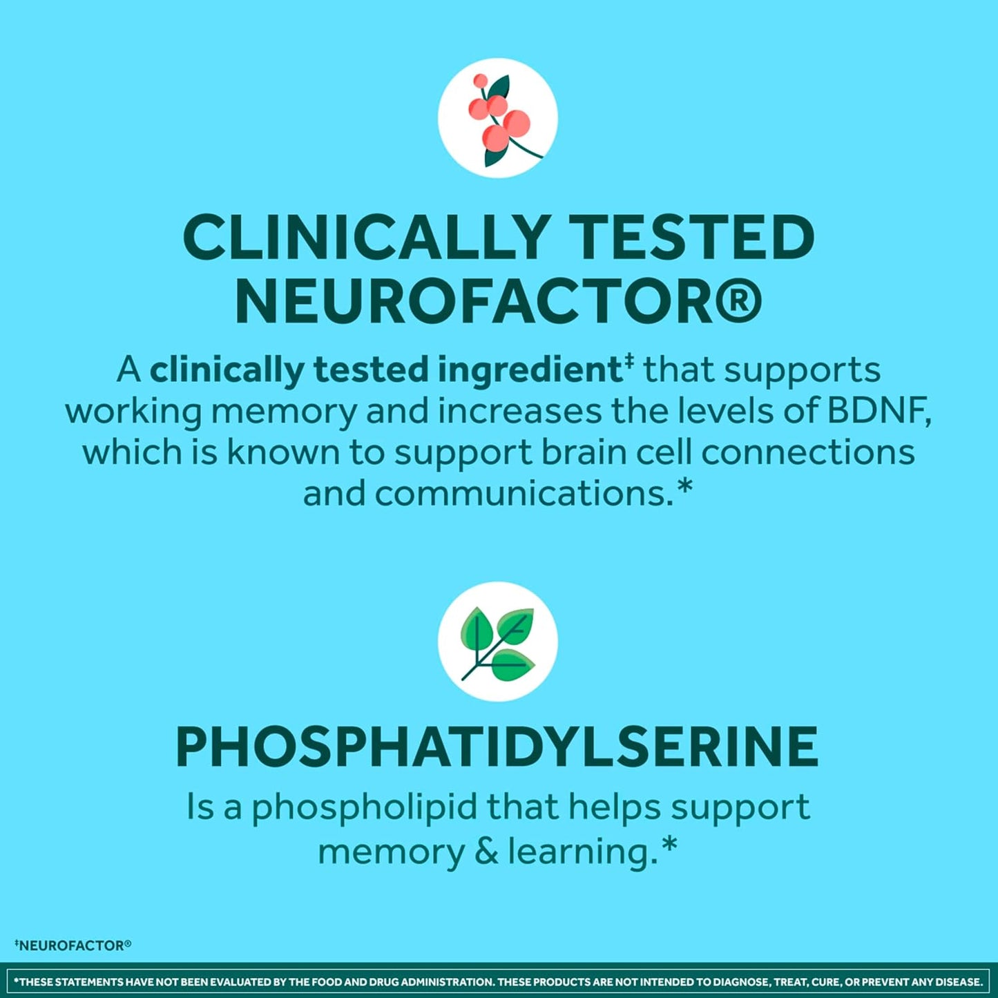NEURIVA Plus Brain Supplement for Memory, Focus & Concentration + Cognitive Function