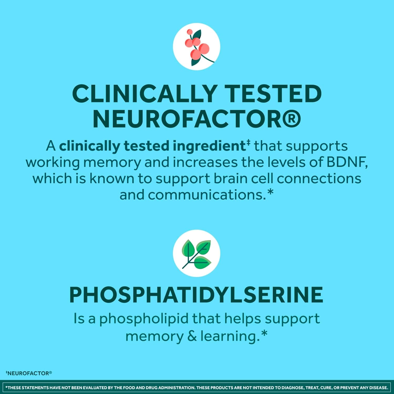 NEURIVA Plus Brain Supplement for Memory, Focus & Concentration + Cognitive Function