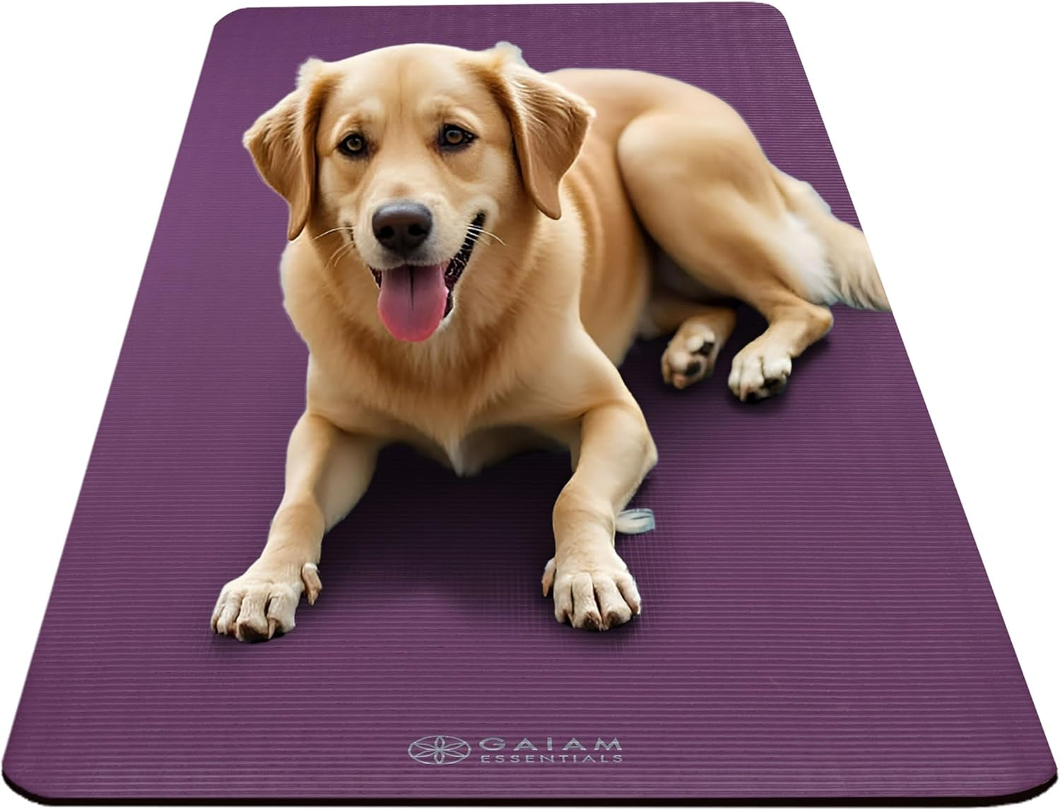 Gaiam Yoga Mat - Thick 2/5" (10Mm) Workout Mat