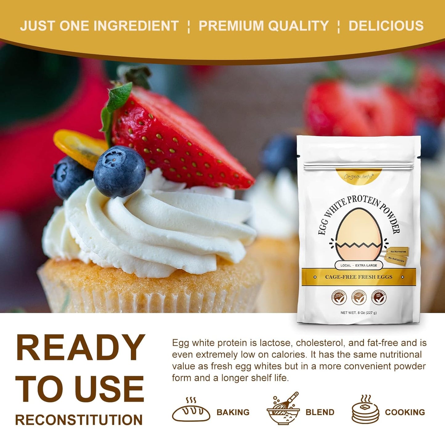 Orgnisulmte Egg White Protein Powder 8 oz