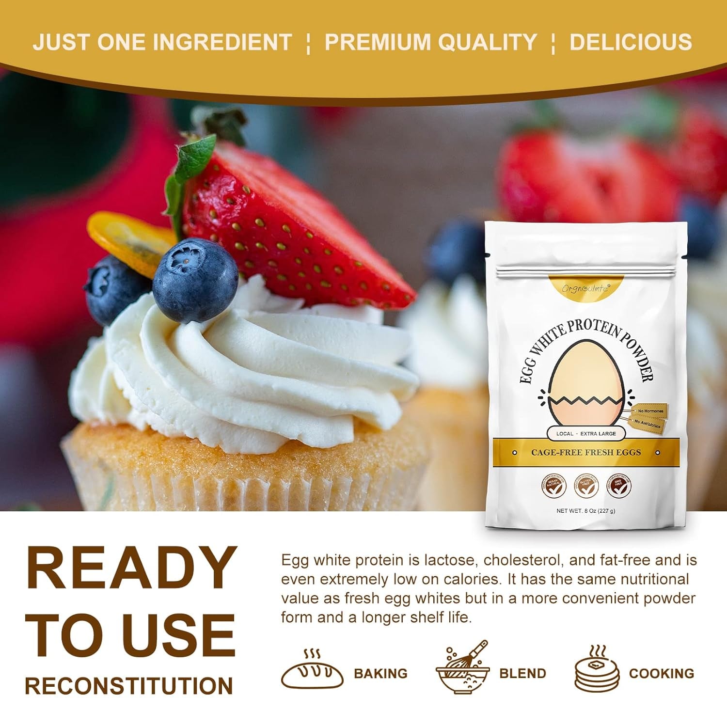 Orgnisulmte Egg White Protein Powder 8 oz