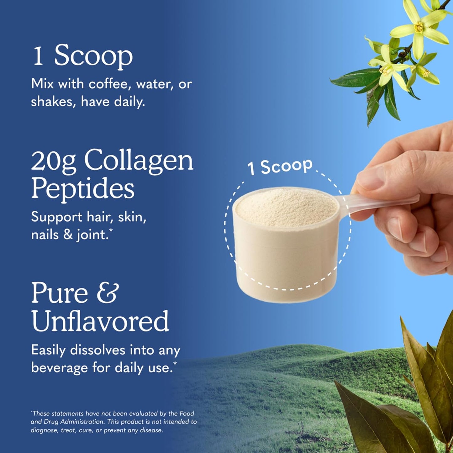 Garden of Life Grass Fed Collagen Peptides Powder Unflavored