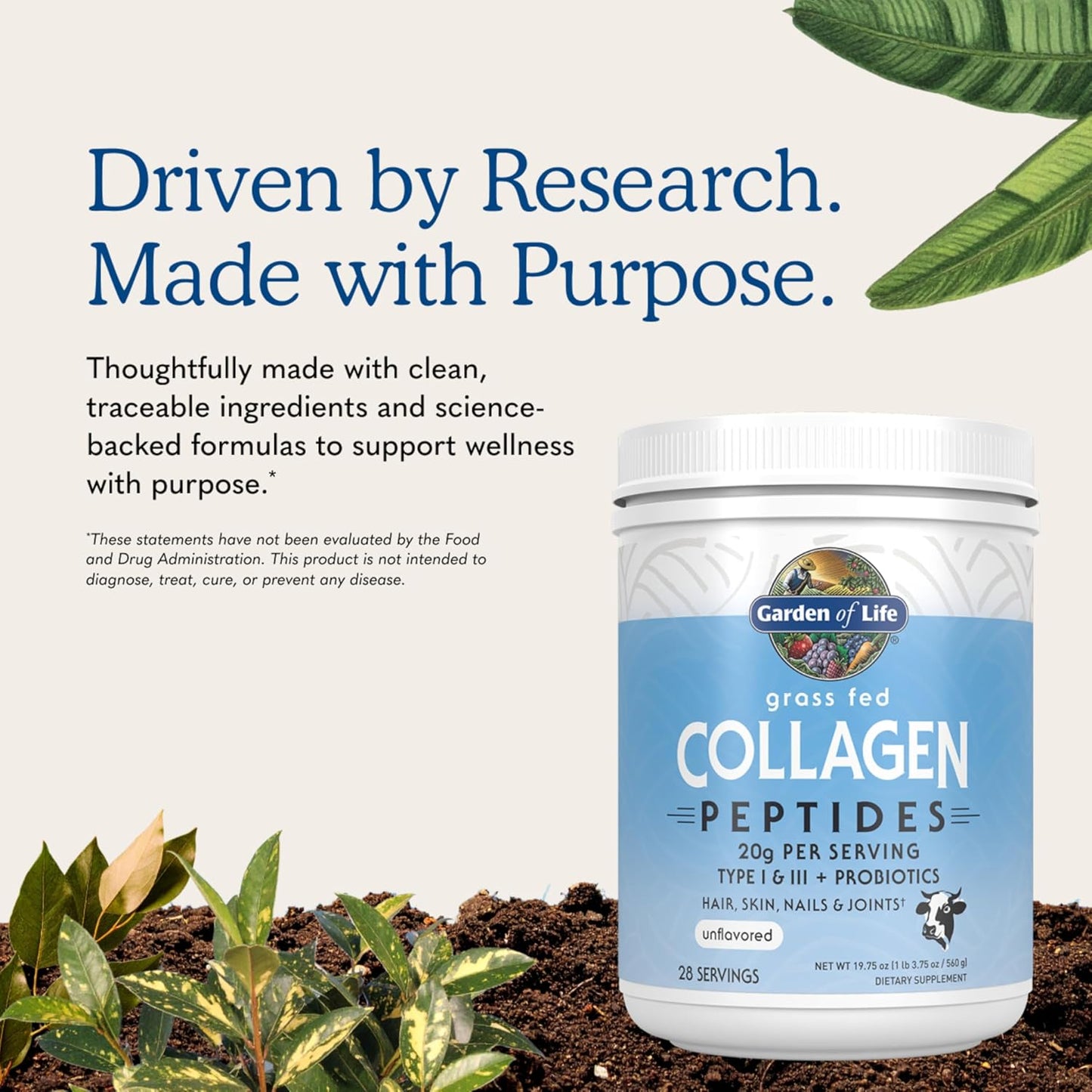Garden of Life Grass Fed Collagen Peptides Powder Unflavored