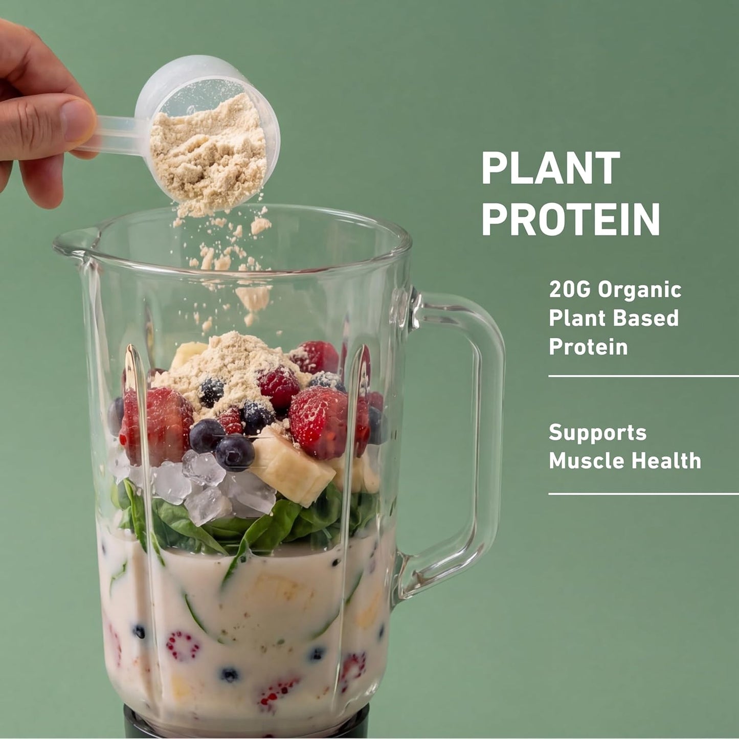 Isopure Plant-Based Protein Powder – 20G Organic Pea and Rice Protein