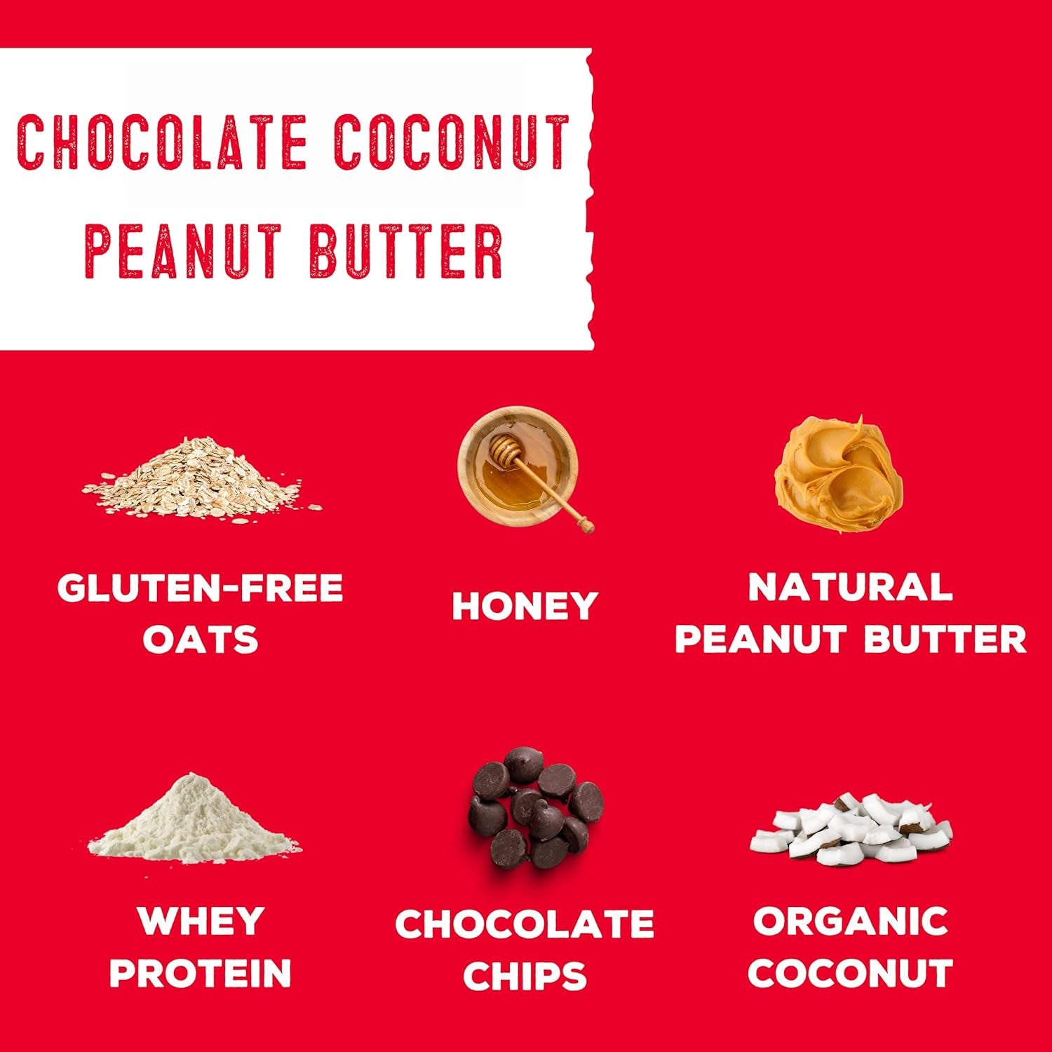 simplyFUEL Whole-Food Protein Balls (Peanut Butter Chocolate Coconut Fusion)