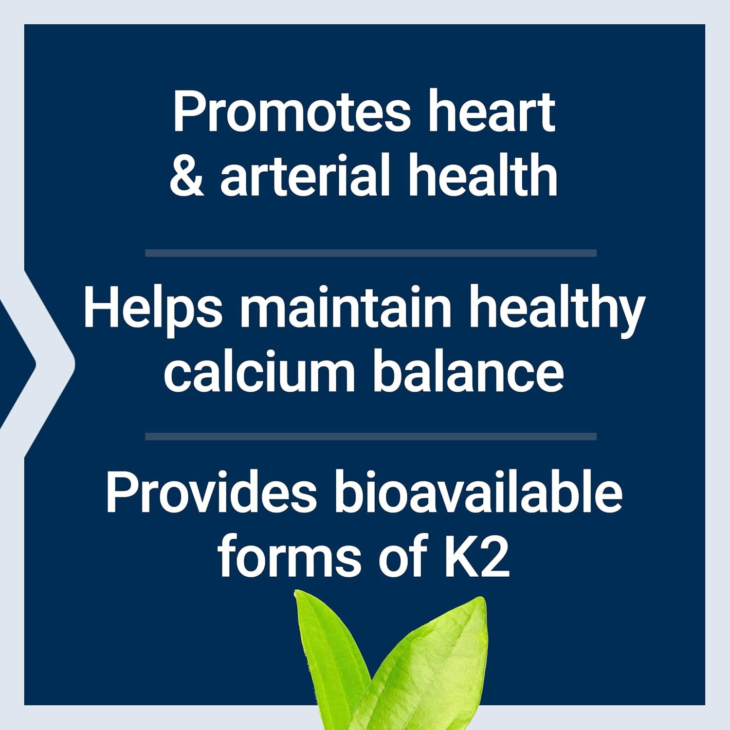 Life Extension Super K, Vitamin K Supplement, 2000 Mcg Vitamin K