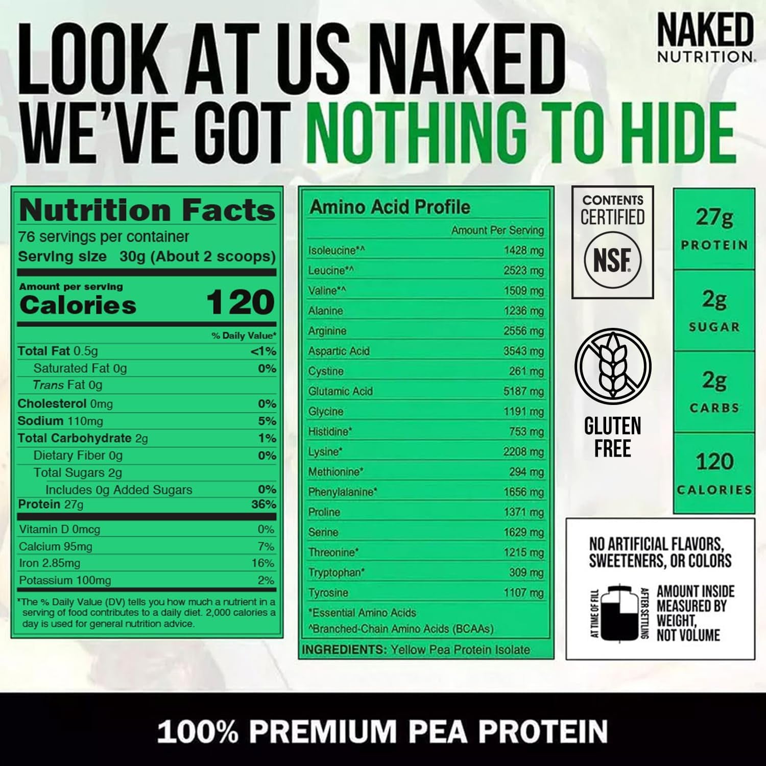 Naked Pea Protein Isolate from North American Farms - 5lb Bulk