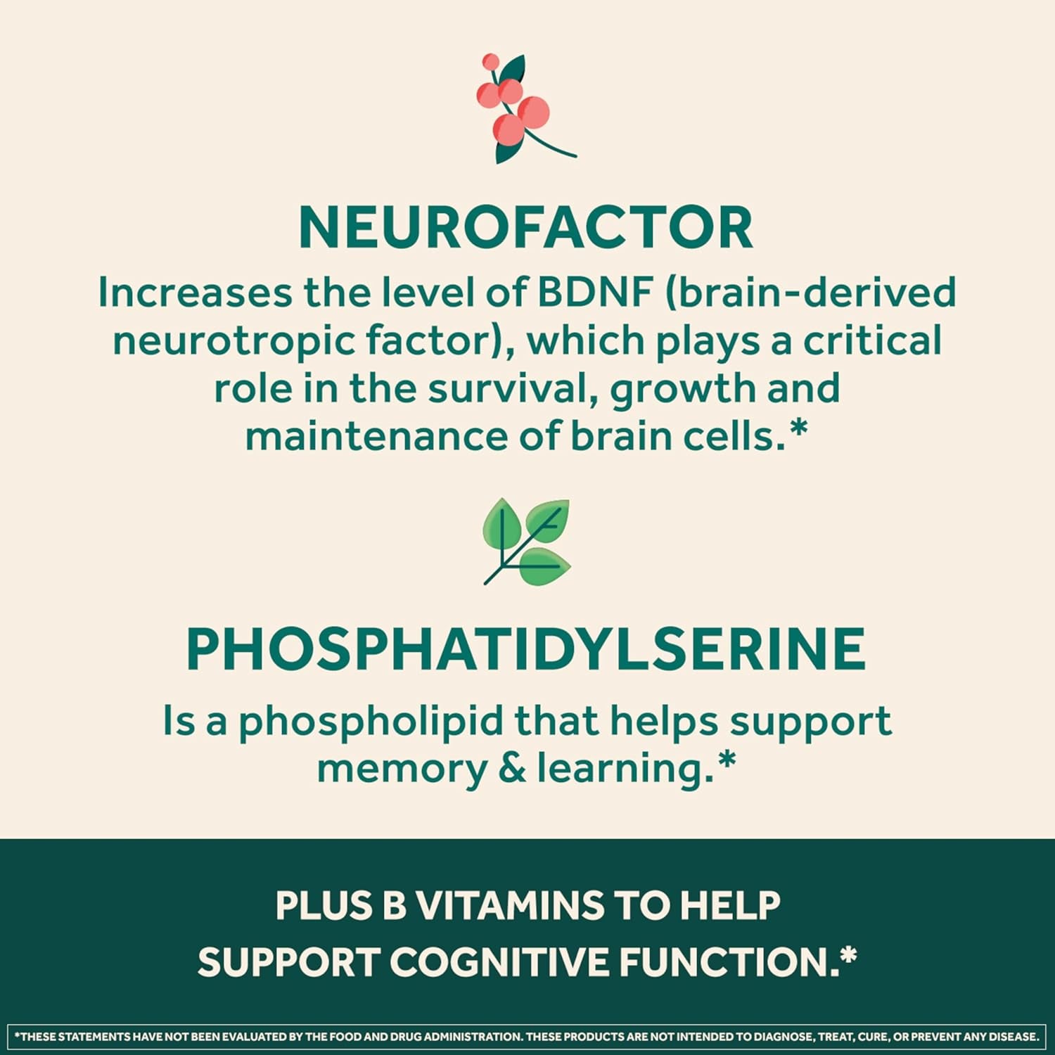 NEURIVA Ultra Decaffeinated Clinically Tested Nootropic Brain Supplement for Mental Alertness