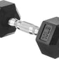 10 Pound Rubber Hex Dumbbell Hand Weight