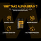 ONNIT Alpha Brain Nootropic Brain Supplement for Focus