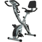BARWING Stationary Exercise Bike for Home Workout