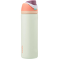 Owala FreeSip Insulated Stainless Steel Water Bottle with Straw 24 Oz