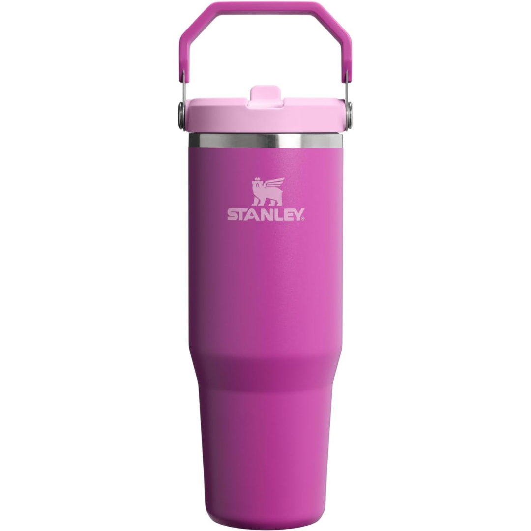 STANLEY IceFlow 2.0 Flip Straw Tumbler with Handle 30 oz