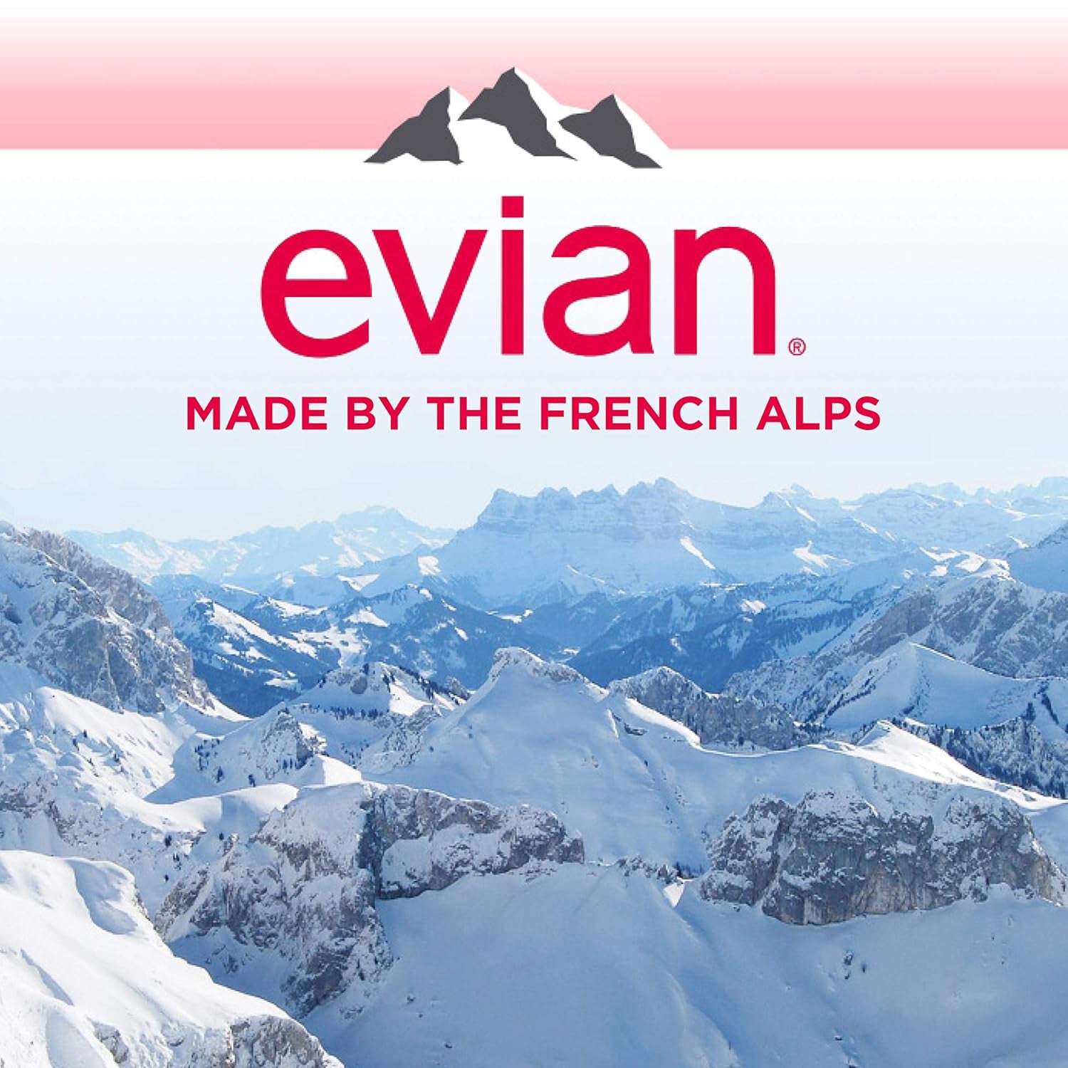 Evian Natural Spring Water, 1 L Bottle, 12 Pack