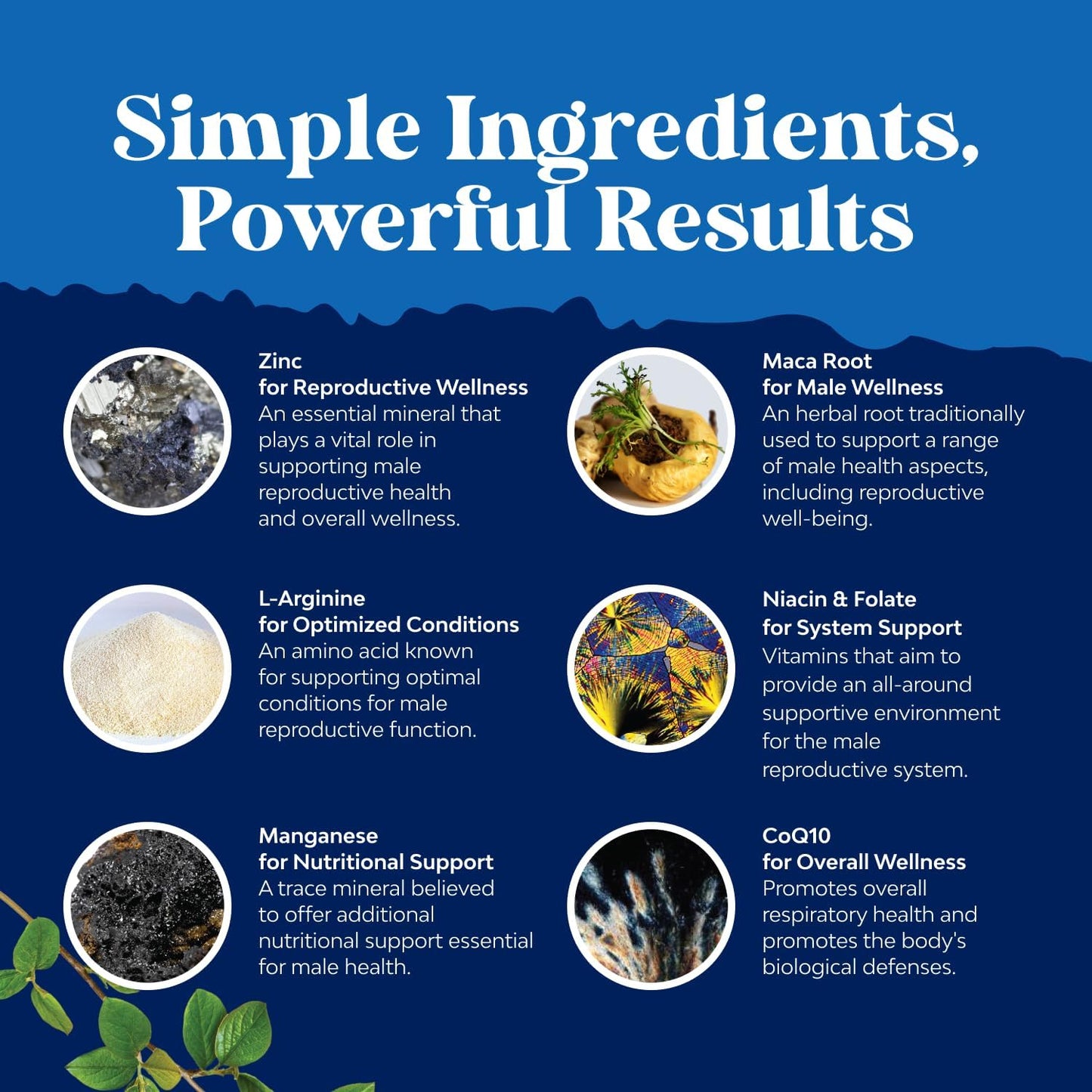 Pre Conception Male Fertility Supplement