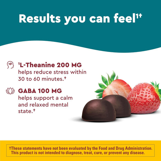 Nature Made Wellblends Stress Relief Gummies