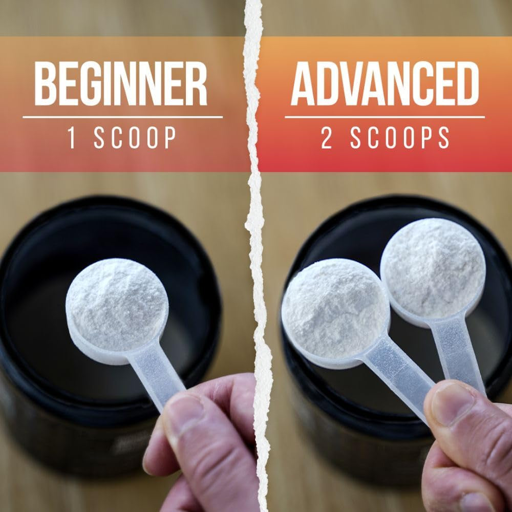 ALPHA LION Core Pre Workout Powder with Creatine