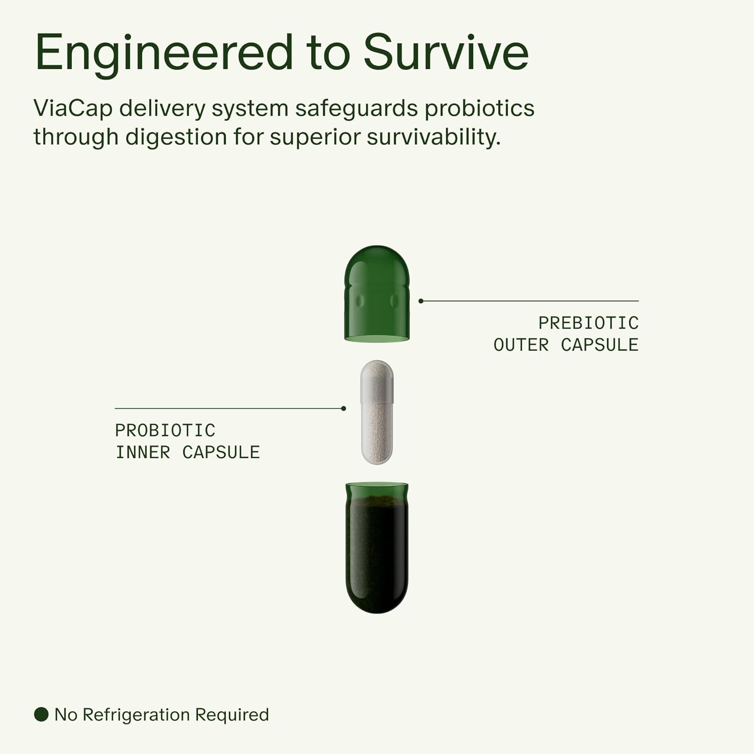 Seed DS-01 Daily Synbiotic - Prebiotic and Probiotic for Women & Men