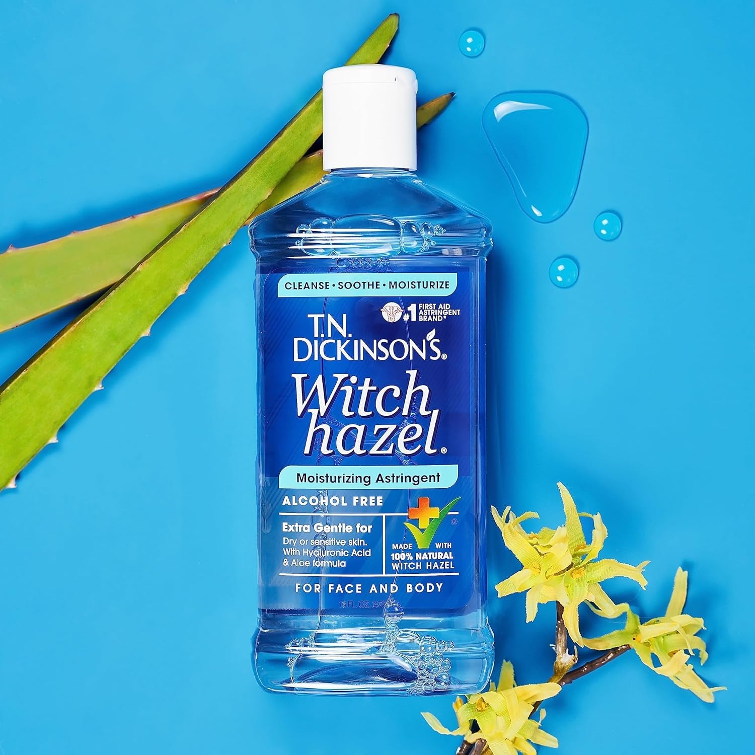 T.N. Dickinson's Witch Hazel Alcohol Free Moisturizing Astringent