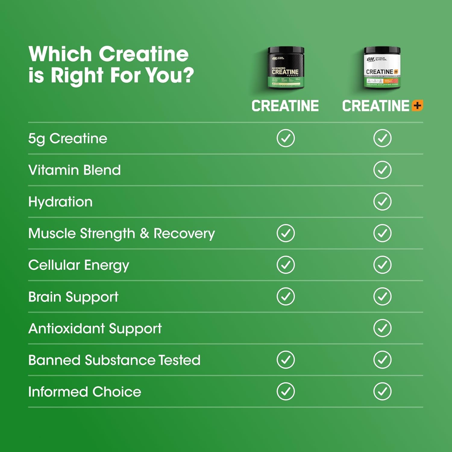 Optimum Nutrition Micronized Creatine Monohydrate Powder