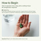 Seed DS-01 Daily Synbiotic - Prebiotic and Probiotic for Women & Men