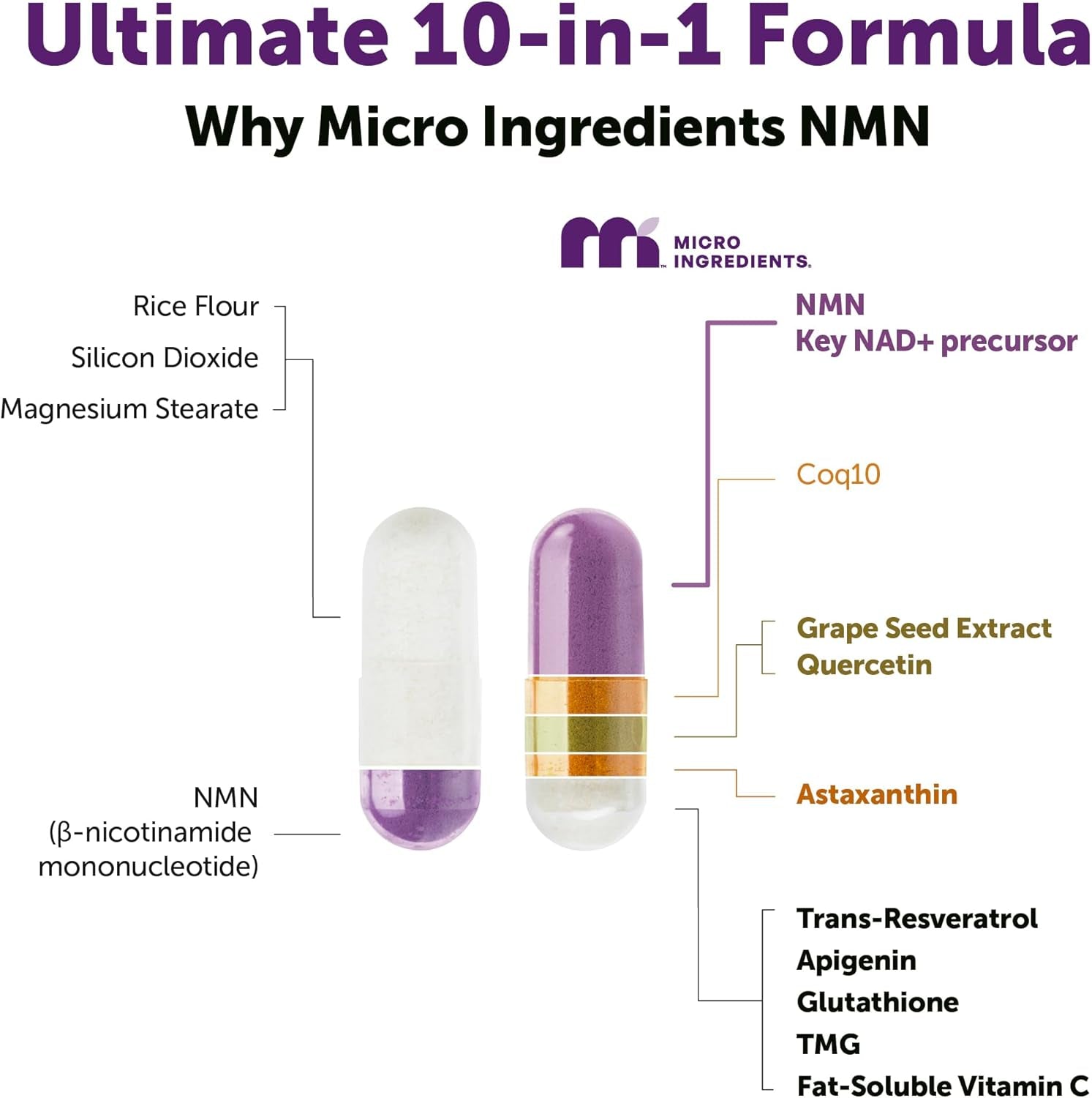 Micro Ingredients NMN Complex 1000mg