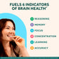 NEURIVA Plus Brain Supplement for Memory, Focus & Concentration + Cognitive Function