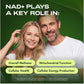 Cata-Kor Liposomal NAD+ Supplement