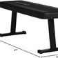 Marcy Flat Utility Weight Bench for Home Gym