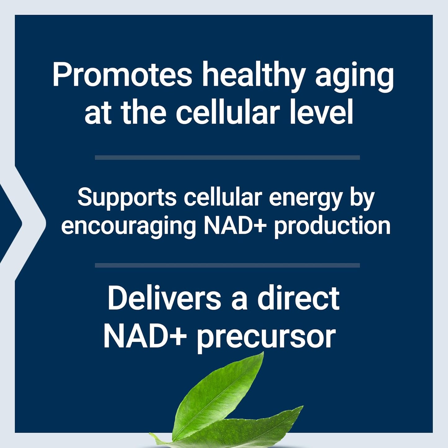 Life Extension NAD+ Cell Support NMN, Healthy Aging, Energy Support, NAD+, 90 Capsules