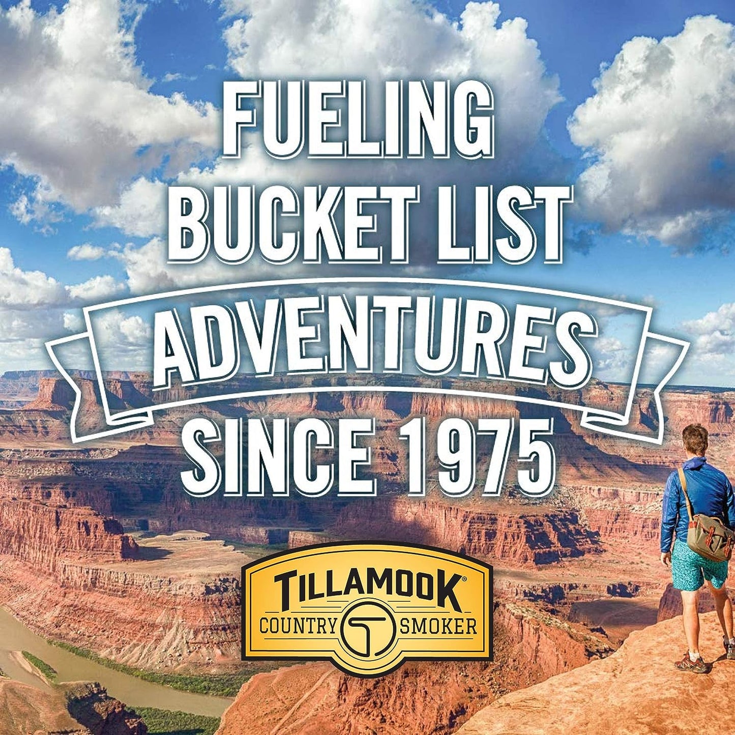 Tillamook Country Smoker Real Hardwood Smoked Sausages, Teriyaki, 15.2 Ounce Tall Jar, 20 Count