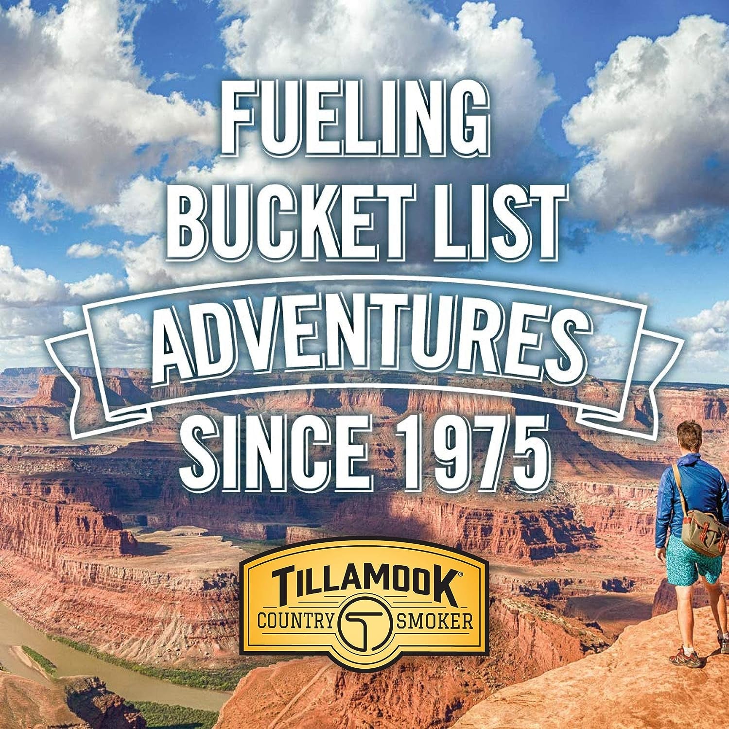 Tillamook Country Smoker Real Hardwood Smoked Sausages, Teriyaki, 15.2 Ounce Tall Jar, 20 Count