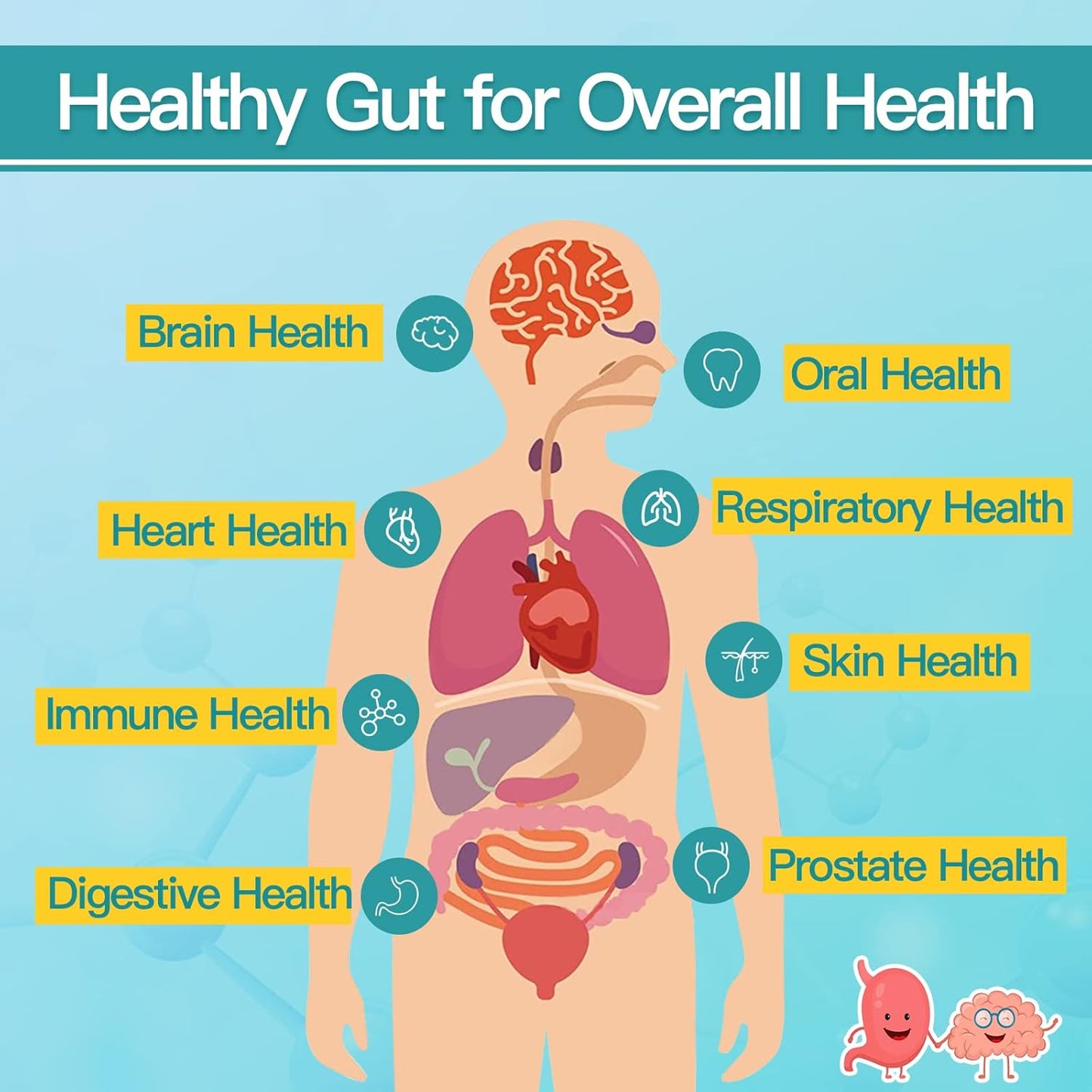NATURE TARGET Probiotics for Men
