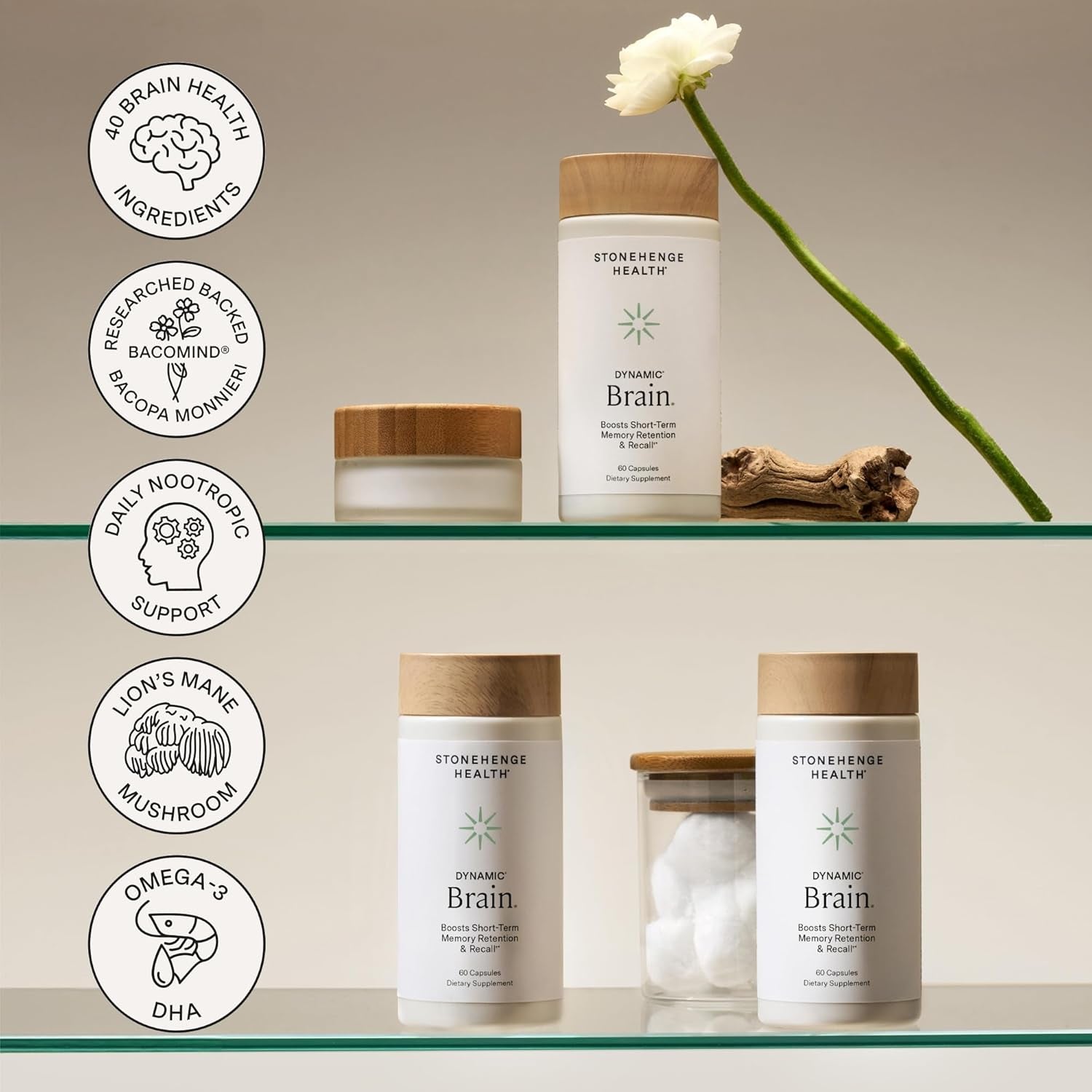Stonehenge Health Dynamic Brain Nootropic Formula